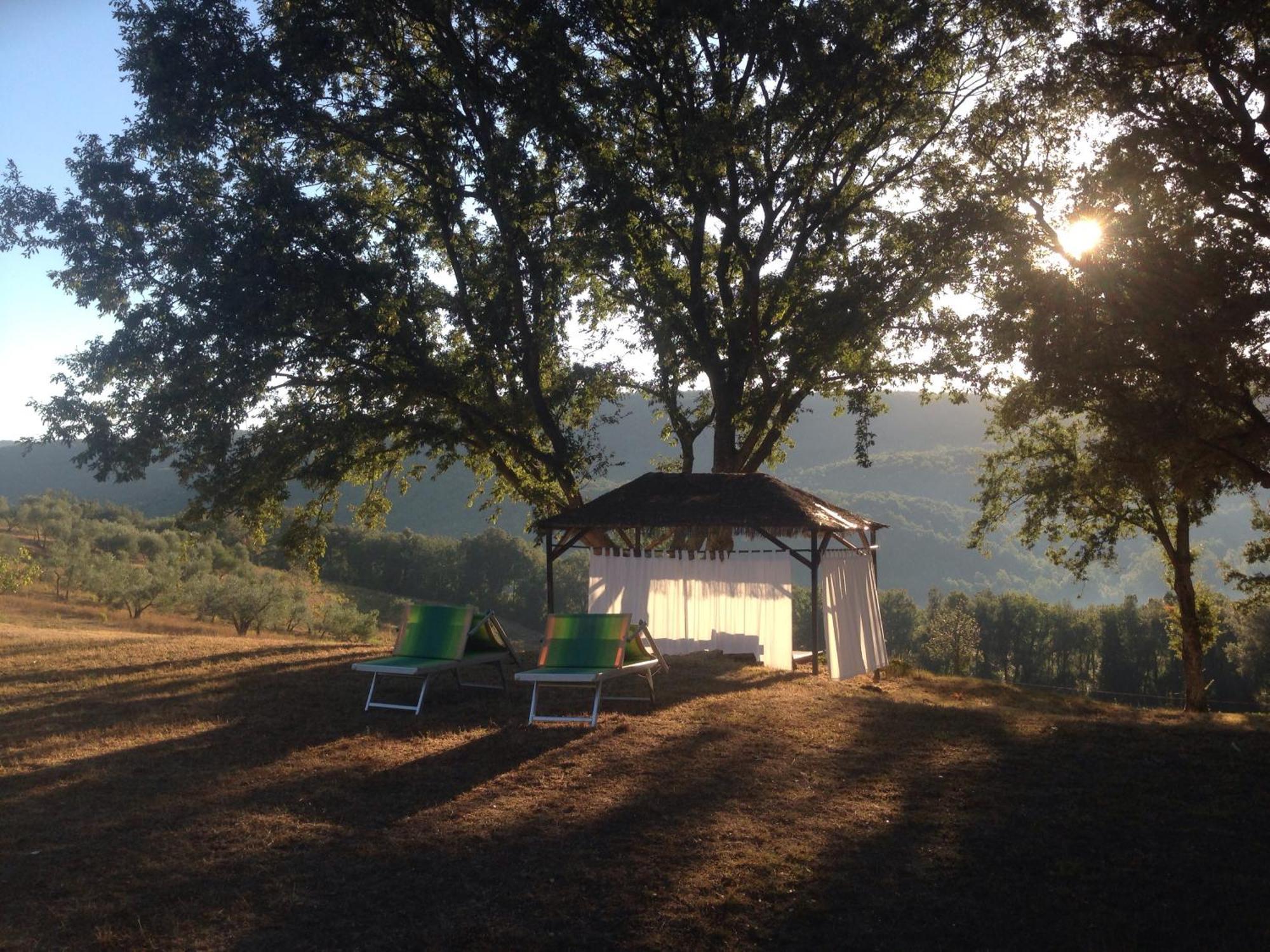 Agriturismo Colle Donatucci Guest House Castagneto Carducci Exterior photo