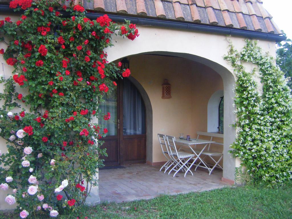 Agriturismo Colle Donatucci Guest House Castagneto Carducci Room photo