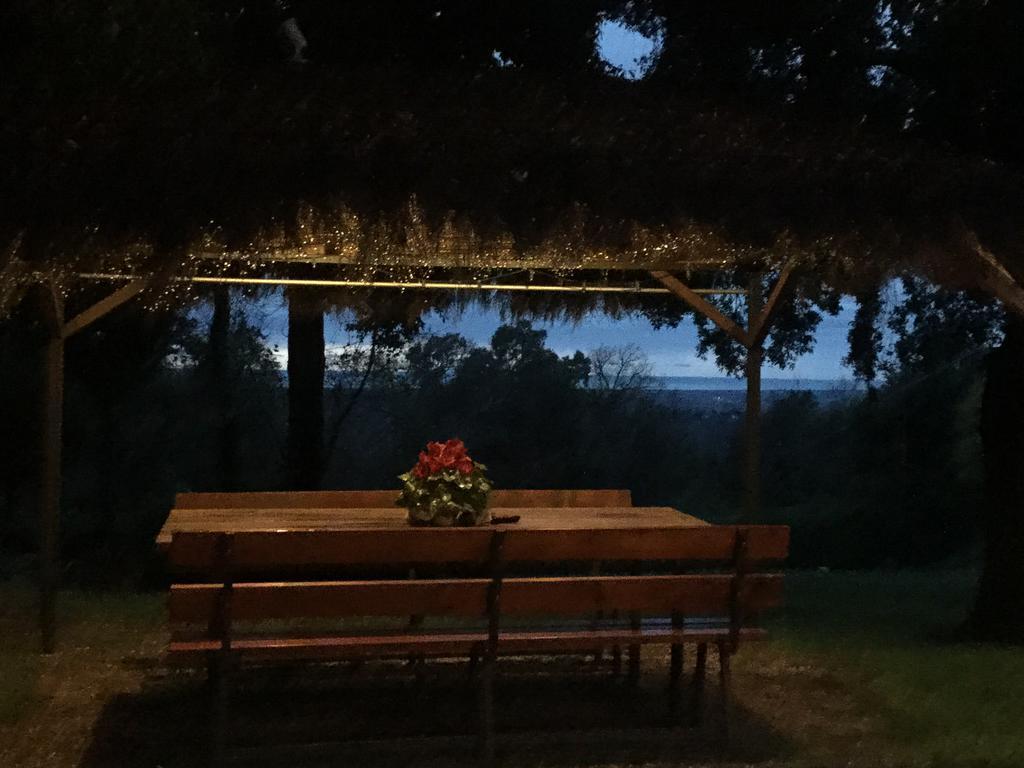 Agriturismo Colle Donatucci Guest House Castagneto Carducci Exterior photo